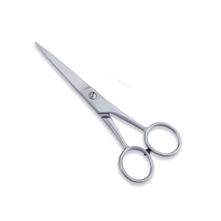 Economy Hair Scissors